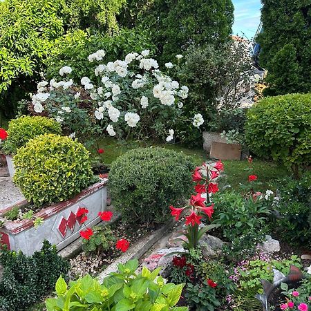 Green Oasis Котор Экстерьер фото
