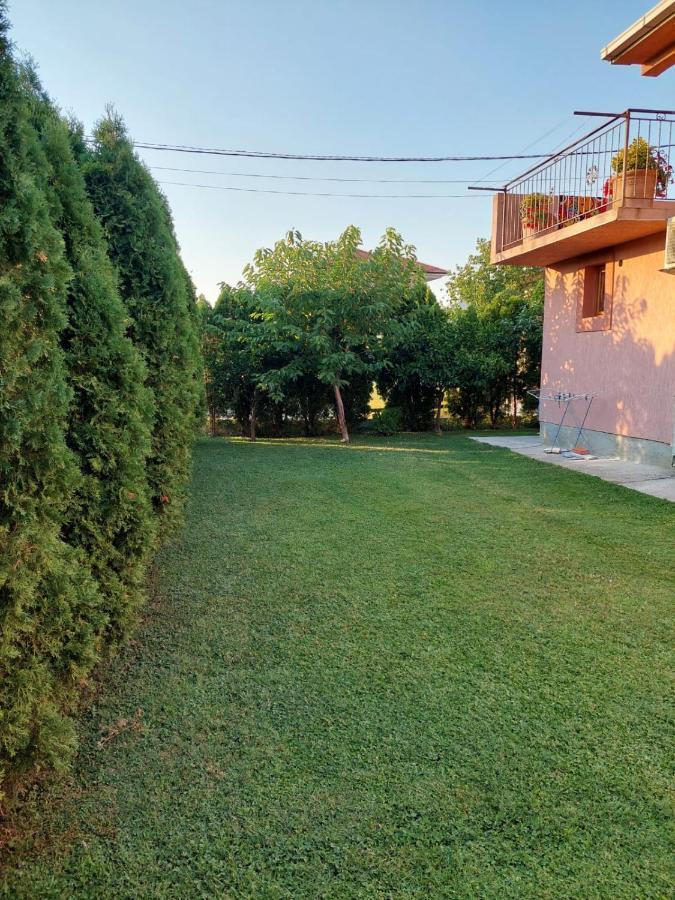 Green Oasis Котор Экстерьер фото